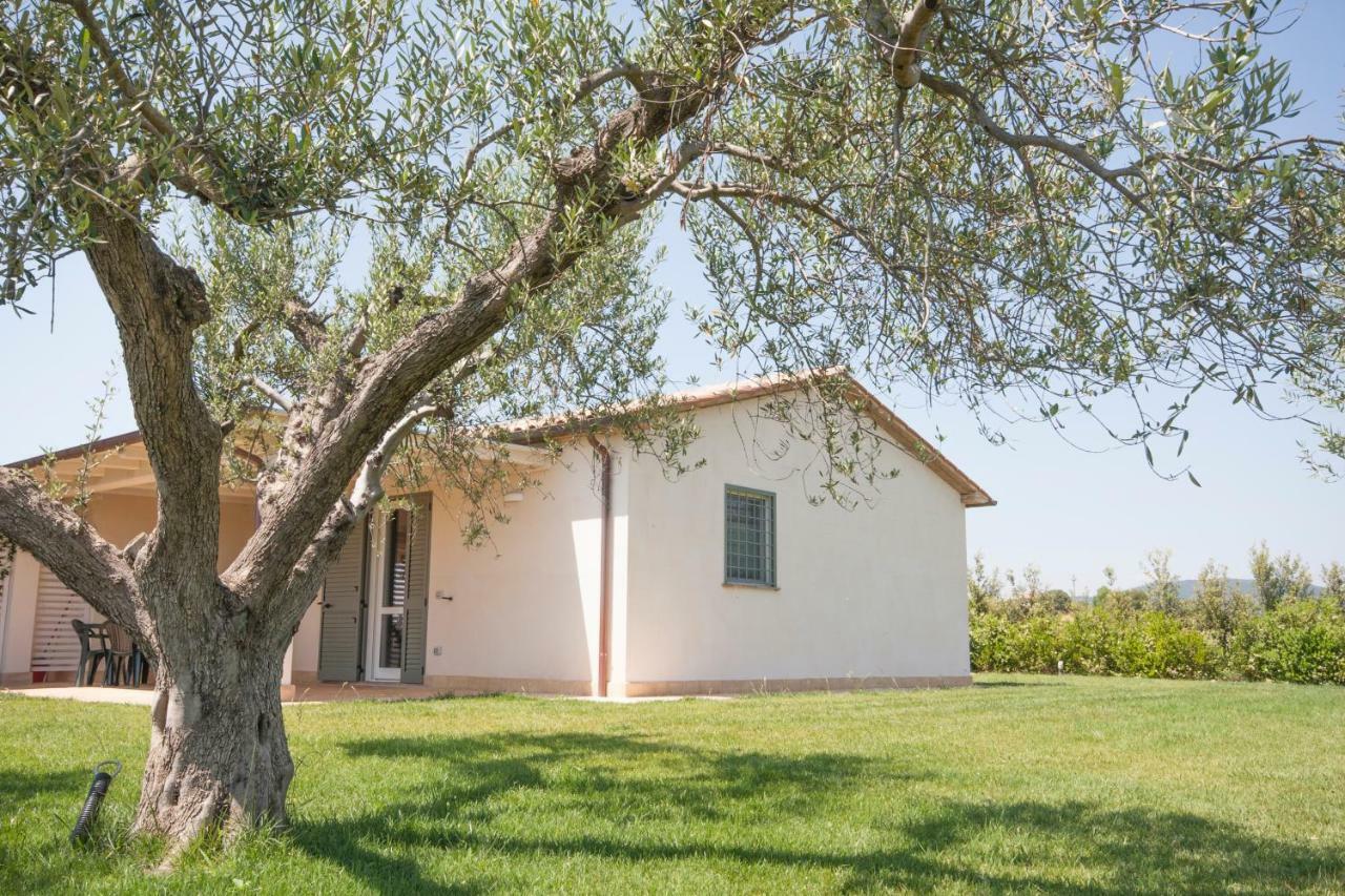 Agriturismo Il Mirto Pescia Romana Luaran gambar